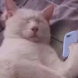 一只可达呀！