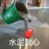 知知是知了