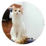 汤圆与元宵