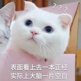 豆友193700302