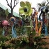沧浪之水