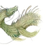 哈尼