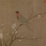 野草与冽风