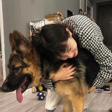 六日