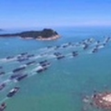 海鲜大控