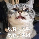 可可爱爱小🍑