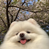 Hi0weo2verS1