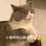 小猫咪坏心眼儿