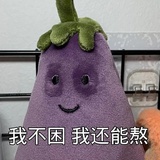可多达丽苏