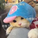 粥粥粥小粥