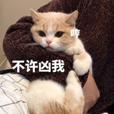 想逃