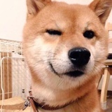光年