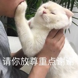 山川主脉