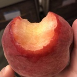 豆油沙丁仔
