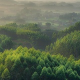 山川如我