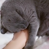 Mandy_R
