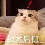 今天吃啥好呢