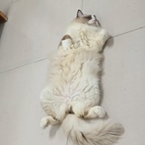 一半