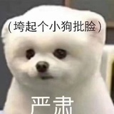 小甜酱