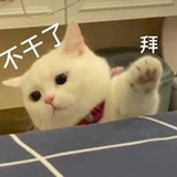 茶烟挽