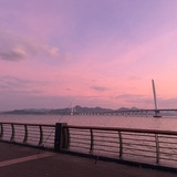 兔子不吃胡萝卜