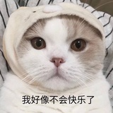 做你的猫