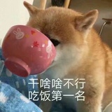Shy何