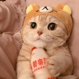 Pika尓