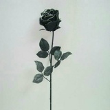 积极又向上