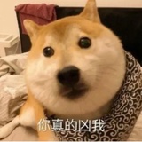 哆啦哈哈
