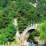 漂移