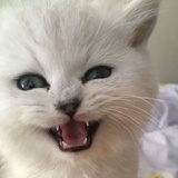 旧人久事