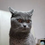 闷墩
