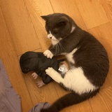 一乌安