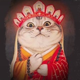 自律先森