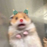 Dddmm