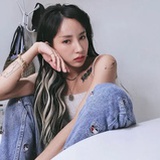 爱吃薄巧的兔子