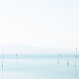 Domain