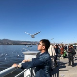 挂6档的bug
