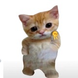 我本来就很萌呀