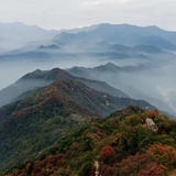 金牛座的选择