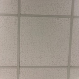 野村人