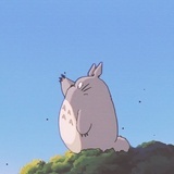 小阳十一春
