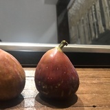 小仙