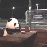 小叮当我很秀