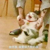用户888