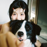 偶尔心碎小狗
