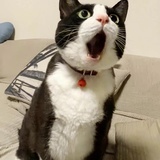 是小熊猫哦3