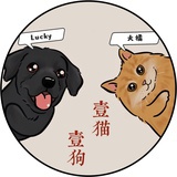 壹猫壹狗