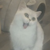 🙈